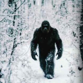 10 TRUE SCARY NATIONAL PARK HORROR STORIES