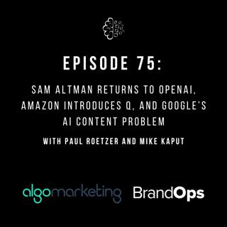 #75: Sam Altman Returns to OpenAI, Amazon Introduces Q, and Google’s AI Content Problem