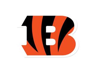 NFL SuperFan Series: 2014 Cincinnati Bengals Preview