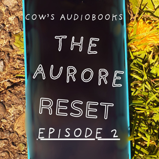 The Aurore Reset Ep 2: Don’t Slam the Door