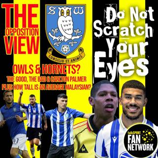THE OPPOSITION VIEW - Sheffield Wednesday (Home)