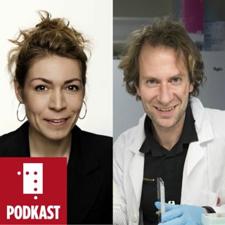 Kyborgane kjem. Lone Frank og Lasse Pihlstrøm om hjerneforsking