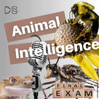 Animal Intelligence Final Exam