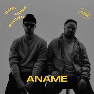 242. anamē