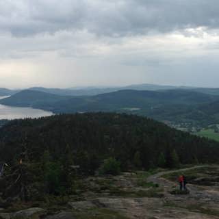 Skulebergets historia och artrikedom