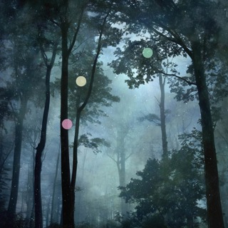 Night Rain in the Forest | Cotswolds Calm Sounds