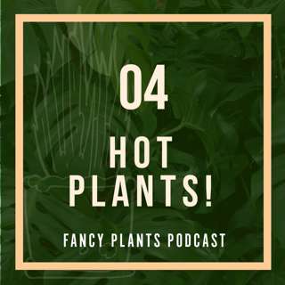 04. Hot Plants!