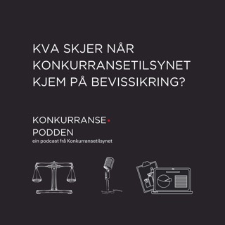 Kva skjer når Konkurransetilsynet kjem på bevissikring?