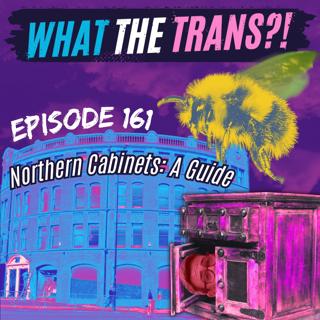 Northern Cabinets: A Guide