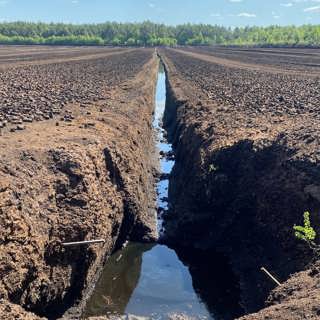 Ny torvbrytning väcker ont blod hos klimataktivister