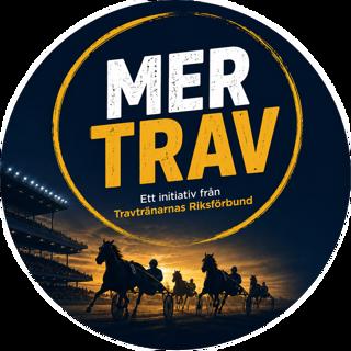 rss-mer-trav