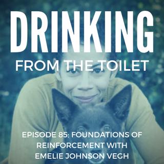 #85: Foundations of Reinforcement with Emelie Johnson Vegh
