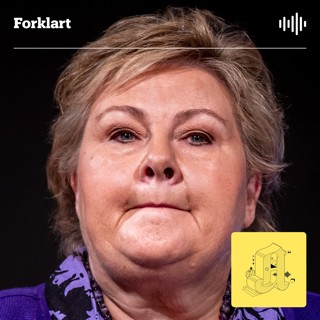 Hva visste Erna?
