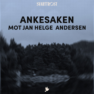 Ankesaken mot Jan Helge Andersen (22) Analyse av dommen