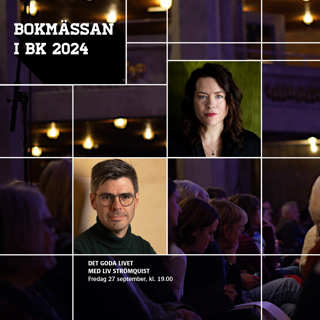 Det goda livet med Liv Strömquist