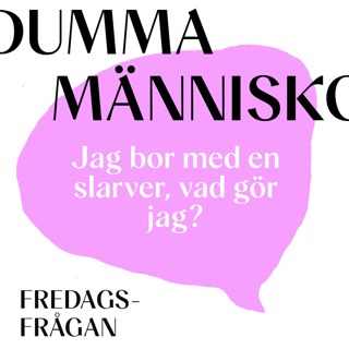 FREDAGSFRÅGAN: Jag bor med en slarver, vad gör jag?