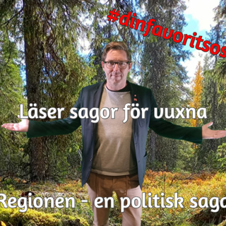Regionen - en politisk saga
