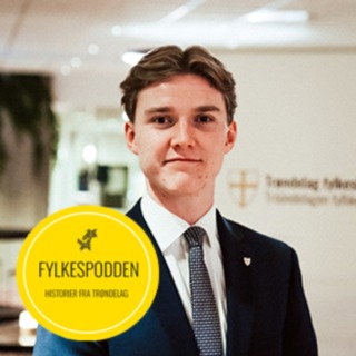17 år og leder