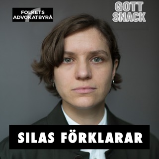 Silas förklarar - Det svenska undantagstillståndet mot "totalitärt maktövertagande"