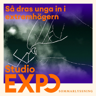 Sommarrepris: Så dras unga in i extremhögern