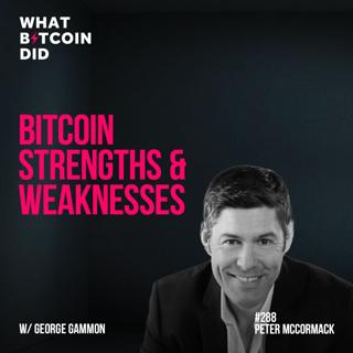 Bitcoin Strengths & Weaknesses with George Gammon - WBD288