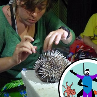 Diving into Ocean Conservation