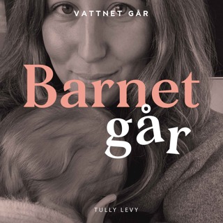 647. Barnet Går - Tully Levy, "Allt är bara en kort tid"