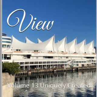 Panoramic View Volume 13 Uniquely Created by Daniel Lucas