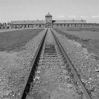 Tim Gray interviews Auschwitz and Holocaust survivor Israel Arbeiter regarding his incredible story