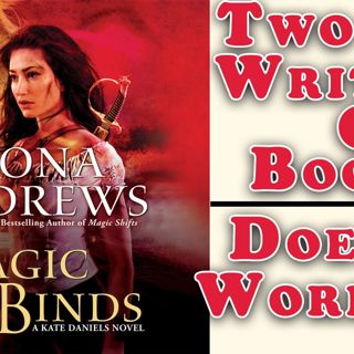 Two Writers One Book. Does it work??? | Magic Binds - Book Chat