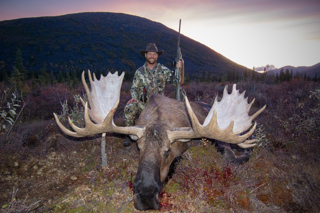 .375 H&H: All-Around Cartridge Champ