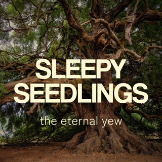 The Eternal Yew
