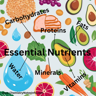 Nutrition and Importance of essential nutrients in our balanced diet