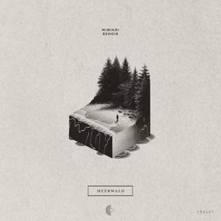 mimikri - Meerwald (Benoir Remix)
