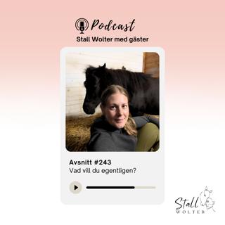 #243: Vad vill du egentligen? 🧡