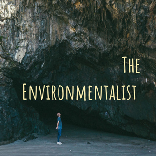 The Environmentalist