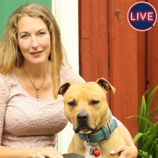 Inför "Motionera din hund lycklig" med Irene Westerholm