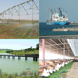 Understanding Eritrea’s Distinctive Development Vision