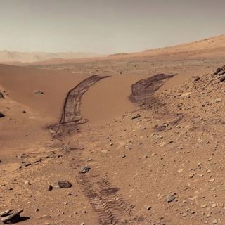 384E-420-Dry Sands