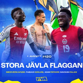 #120 - Stora jävla flaggan