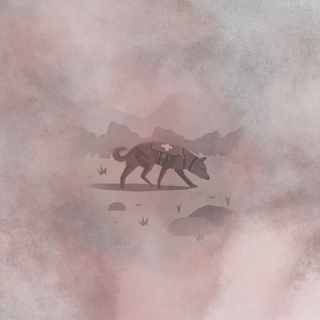 11 | The Search