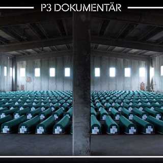 Folkmordet i Srebrenica