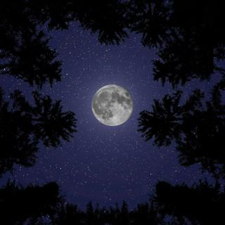 😴🎵 Soothing MUSIC, Restorative SLEEP: The Perfect Alliance for your WELL-BEING