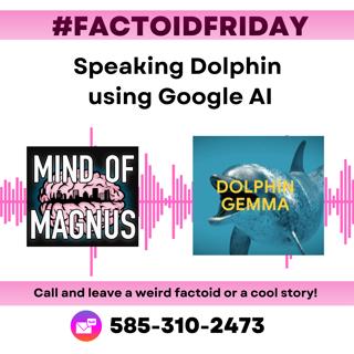 FactoidFriday - Dolphin Communications with AI
