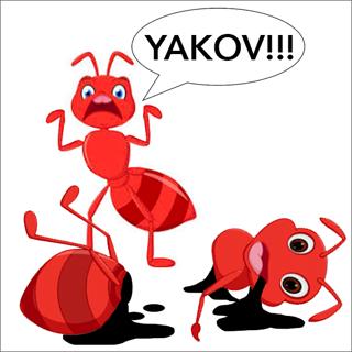 Episode 408: Yakov the Ant