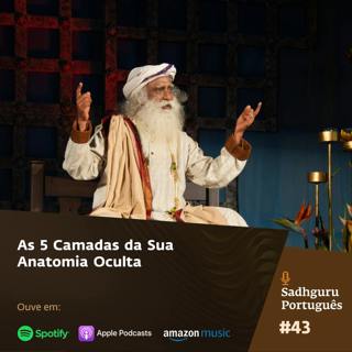 As 5 Camadas da Sua Anatomia Oculta