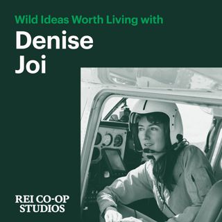 Becoming a Wildlife Pilot with Denise Joi