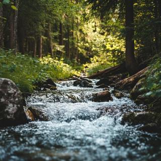 Water Stream Sounds | Music To Help Me Sleep | Stream Sounds For Sleeping