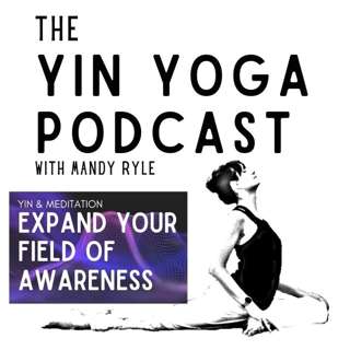 Yin & Meditation: Expand Your Field of Awareness
