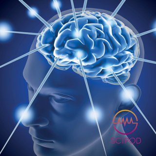 Unravelling the Mysteries of Working Memory - Mark D’Esposito, MD, University of California, Berkeley
